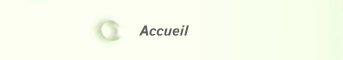 Accueil 
